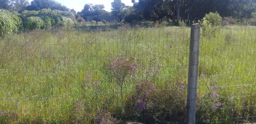 terreno 1000 m2 parada 90 aguas claras