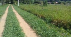 terreno 1000 m2 parada 90 aguas claras