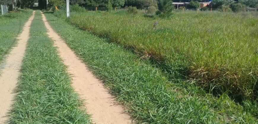 terreno 1000 m2 parada 90 aguas claras