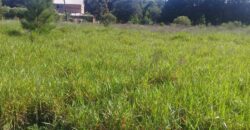 terreno 1000 m2 parada 90 aguas claras
