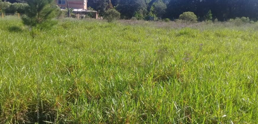 terreno 1000 m2 parada 90 aguas claras