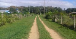 terreno 1000 m2 parada 90 aguas claras