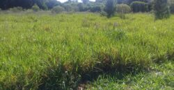 terreno 1000 m2 parada 90 aguas claras