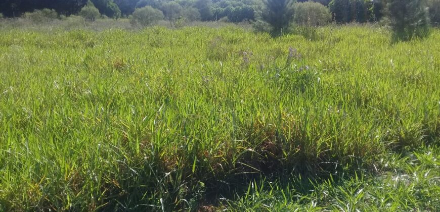 terreno 1000 m2 parada 90 aguas claras