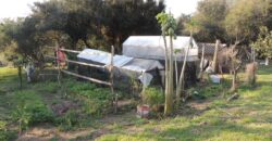 Ótima chácara com 2Ha, açude, casa, galpão, pomar, poço artesiano