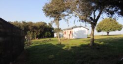Ótima chácara com 2Ha, açude, casa, galpão, pomar, poço artesiano