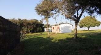 Ótima chácara com 2Ha, açude, casa, galpão, pomar, poço artesiano
