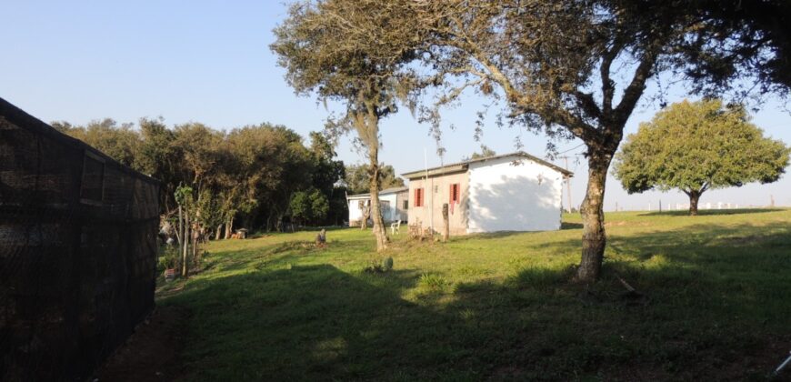 Ótima chácara com 2Ha, açude, casa, galpão, pomar, poço artesiano
