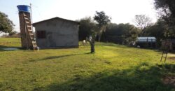 Ótima chácara com 2Ha, açude, casa, galpão, pomar, poço artesiano