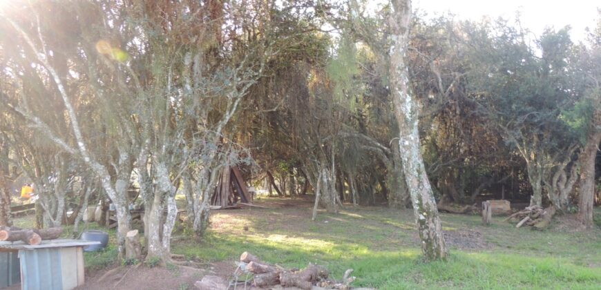 Ótima chácara com 2Ha, açude, casa, galpão, pomar, poço artesiano