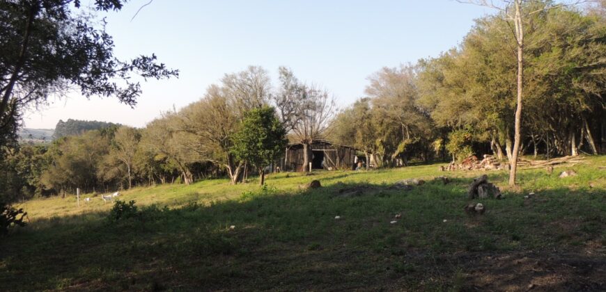 Ótima chácara com 2Ha, açude, casa, galpão, pomar, poço artesiano