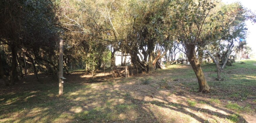 Ótima chácara com 2Ha, açude, casa, galpão, pomar, poço artesiano