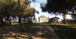 Ótima chácara com 2Ha, açude, casa, galpão, pomar, poço artesiano