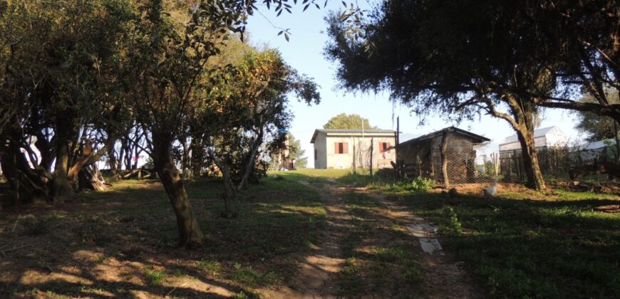 Ótima chácara com 2Ha, açude, casa, galpão, pomar, poço artesiano