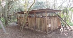 Ótima chácara com 2Ha, açude, casa, galpão, pomar, poço artesiano
