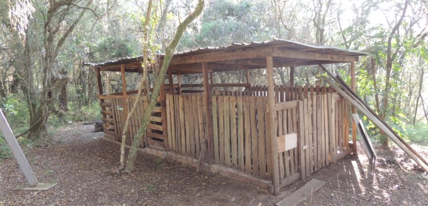 Ótima chácara com 2Ha, açude, casa, galpão, pomar, poço artesiano