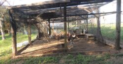 Ótima chácara com 2Ha, açude, casa, galpão, pomar, poço artesiano