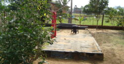 casa parada 90 aguas claras viamão