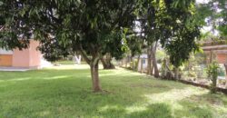 Belíssima chácara, situada em excelente localização e porteira fechada