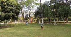 Belíssima chácara, situada em excelente localização e porteira fechada