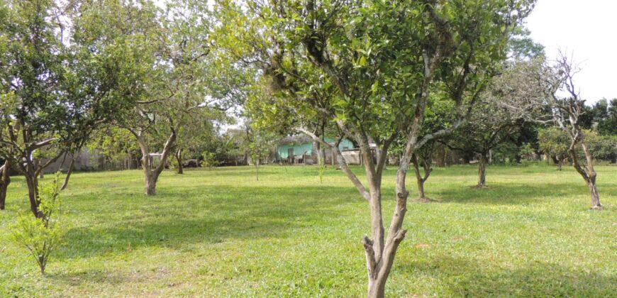 Belíssima chácara, situada em excelente localização e porteira fechada