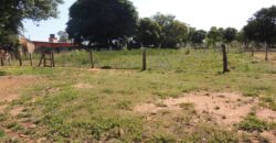 Área com 1650m²