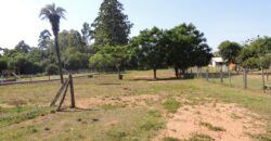 Área com 1650m²