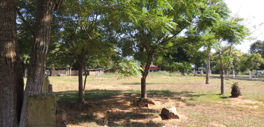 Área com 1650m²