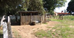 Área com 1650m²