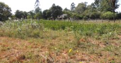 Área com 1650m²
