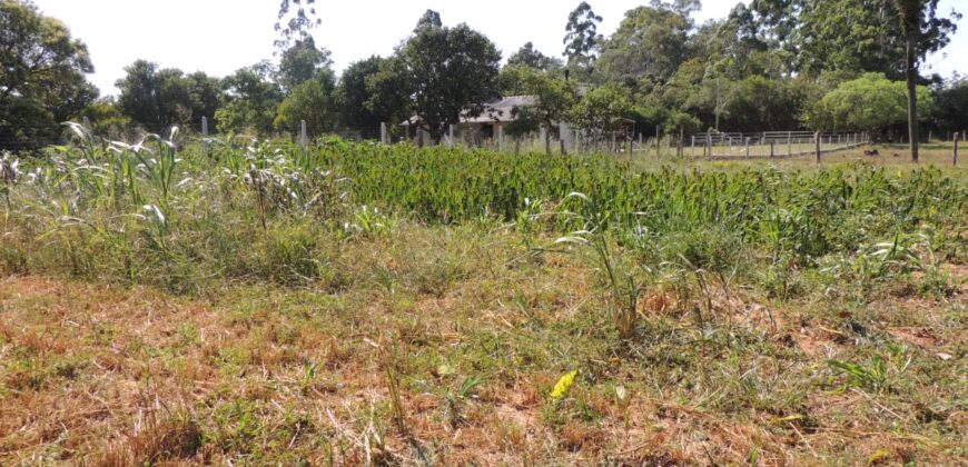 Área com 1650m²