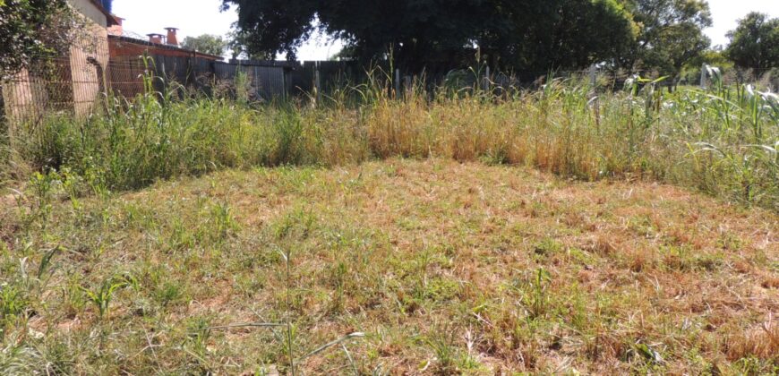 Área com 1650m²