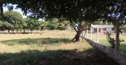 Área com 1650m²