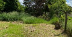 troca casa em aguas claras p/ casa em pinhal