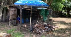 troca casa em aguas claras p/ casa em pinhal