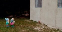 troca casa em aguas claras p/ casa em pinhal