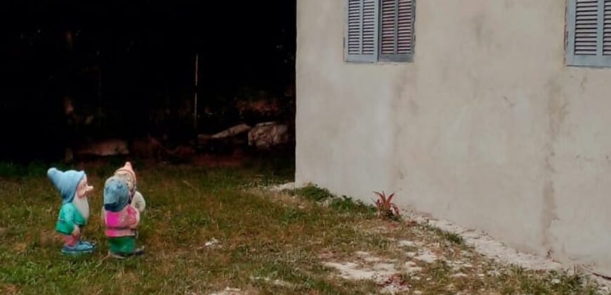 troca casa em aguas claras p/ casa em pinhal