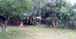 troca casa em aguas claras p/ casa em pinhal