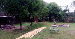 troca casa em aguas claras p/ casa em pinhal