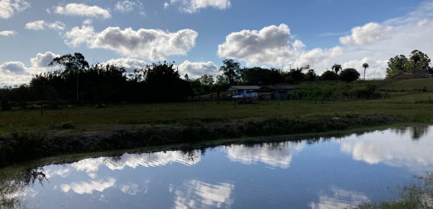 2 hectares , galpão, casa de alv, açude, galinheiro parada 91 aguas claras viamão