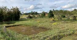 2 hectares , galpão, casa de alv, açude, galinheiro parada 91 aguas claras viamão