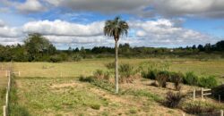 2 hectares , galpão, casa de alv, açude, galinheiro parada 91 aguas claras viamão