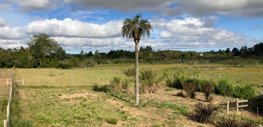 2 hectares , galpão, casa de alv, açude, galinheiro parada 91 aguas claras viamão