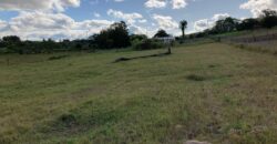 2 hectares , galpão, casa de alv, açude, galinheiro parada 91 aguas claras viamão