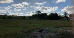 2 hectares , galpão, casa de alv, açude, galinheiro parada 91 aguas claras viamão