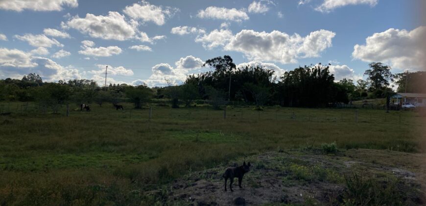 2 hectares , galpão, casa de alv, açude, galinheiro parada 91 aguas claras viamão