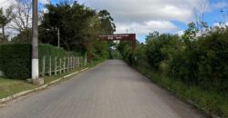 2 hectares , galpão, casa de alv, açude, galinheiro parada 91 aguas claras viamão