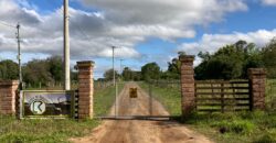 2 hectares , galpão, casa de alv, açude, galinheiro parada 91 aguas claras viamão