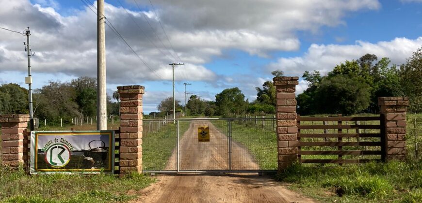 2 hectares , galpão, casa de alv, açude, galinheiro parada 91 aguas claras viamão