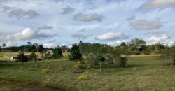 2 hectares , galpão, casa de alv, açude, galinheiro parada 91 aguas claras viamão